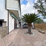 Domu Cycas וילסימיוס